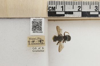 Media type: image;   Entomology 791143 Aspect: Labels